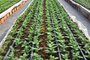 اتصالات پلی اتیلن